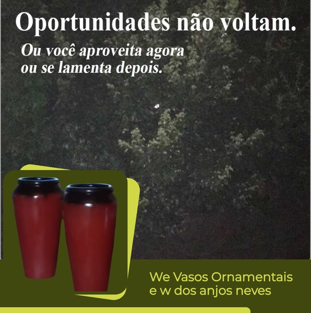 W. E. Vasos Ornamentais 