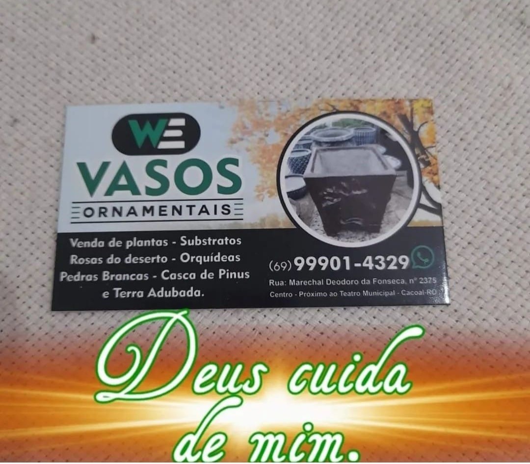 Vasos ornamentais 