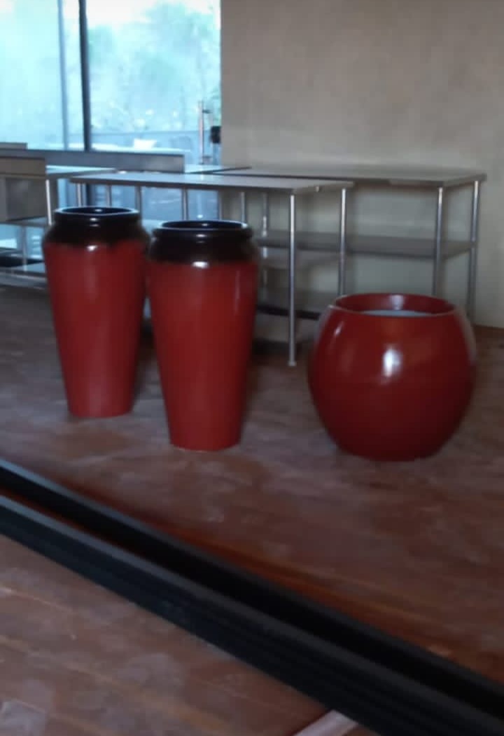 Vasos ornamentais 